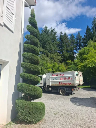 AGE - Alexandre Grolet Elagage à Saint-Just-Saint-Rambert