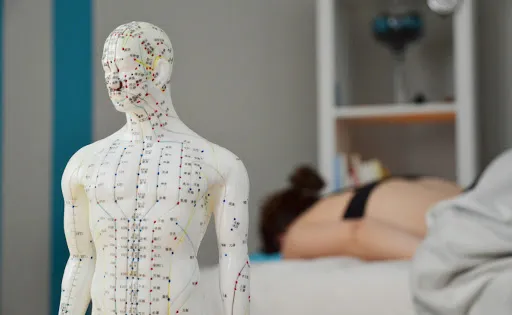 Anne Laure Shiatsu à Saint-Just-Saint-Rambert