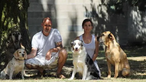 Ecole du chien et du chiot à Saint-Just-Saint-Rambert