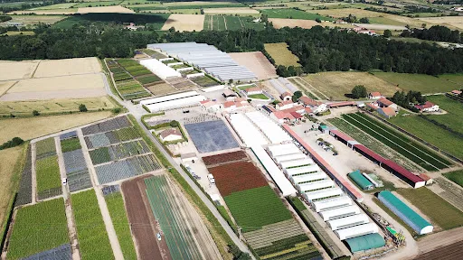 G3F Pépinières du Jaraison Plant Vegetal Diffusion à Saint-Just-Saint-Rambert