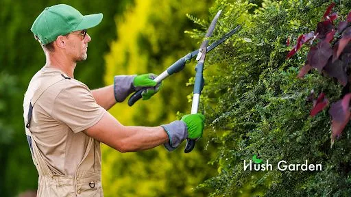 Hush Garden | Siège social - Franchise de Jardiniers Privés à Saint-Just-Saint-Rambert