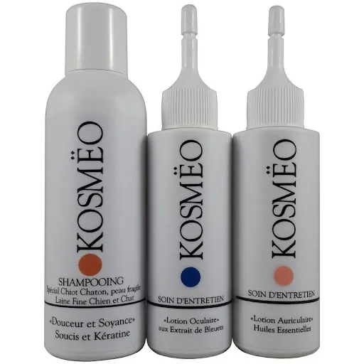 KOSMEO à Saint-Just-Saint-Rambert