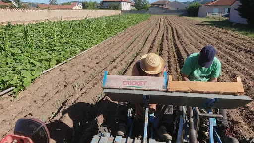 Le Jardin de Phil : maraîchage biologique à Saint-Just-Saint-Rambert