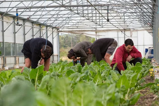 Les Jardins Rambertois à Saint-Just-Saint-Rambert