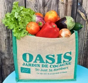 OASIS - Jardin de Cocagne de St Just St Rambert à Saint-Just-Saint-Rambert