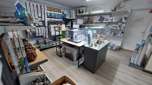 univers aquarium à Saint-Just-Saint-Rambert